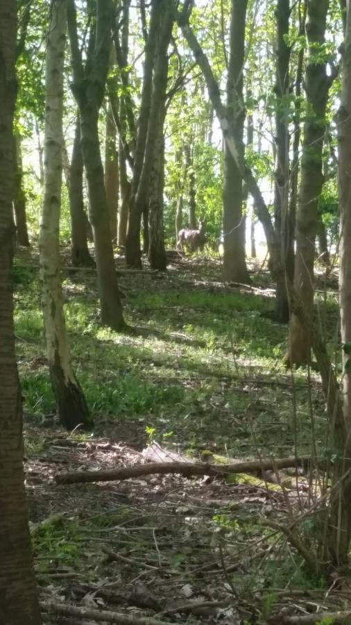 Westhurst Park Bnb Bredon 외부 사진